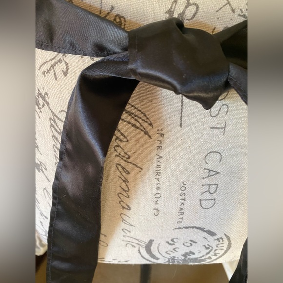 NWT Gorgeous Sheer cream with detail/black satin sash cocktail hostess apron. - Picture 6 of 8